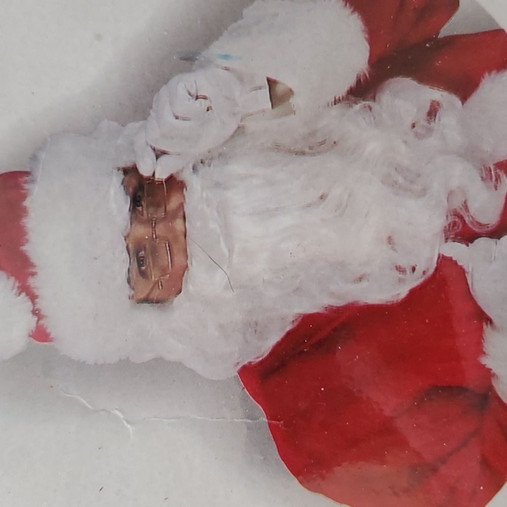 Plush Santa Suit Hat Beard Realistic Size Jacket Up To 48